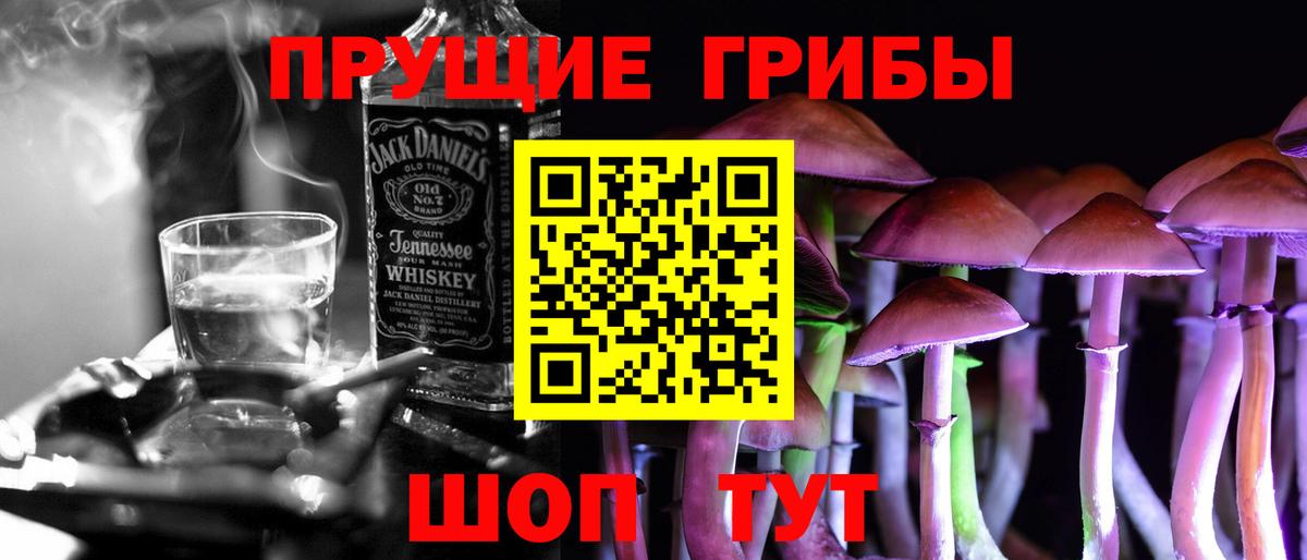 как найти   Псилоцибиновые грибы мицелий  Кемерово  Вход с VPN  Галлюциногенные грибы Psilocybine cubensis 