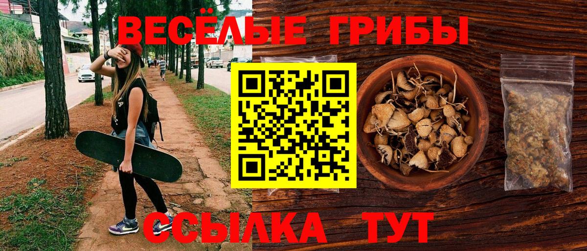 Галлюциногенные грибы Psilocybine cubensis Кемерово